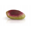 PISTI włoski krem pistacjowy z Sycylii 1kg